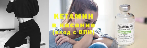 индика Лысково