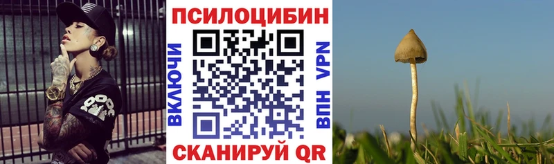 продажа наркотиков  Константиновск  Псилоцибиновые грибы прущие грибы 
